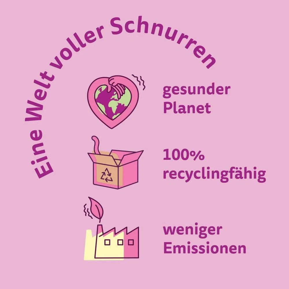 Bild 7 von 12