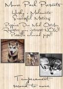 Pawsome Day Out City Of Stirling October 30 Australian Dog Lover Dogs Day Out Pawsome Dog Lovers