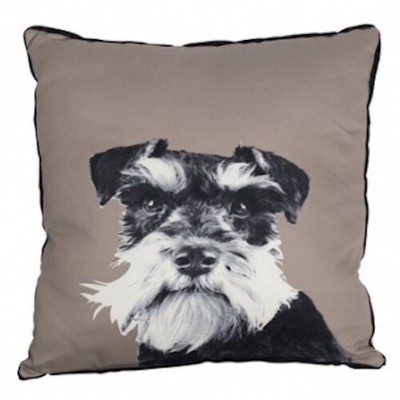 schnauzer dog bed