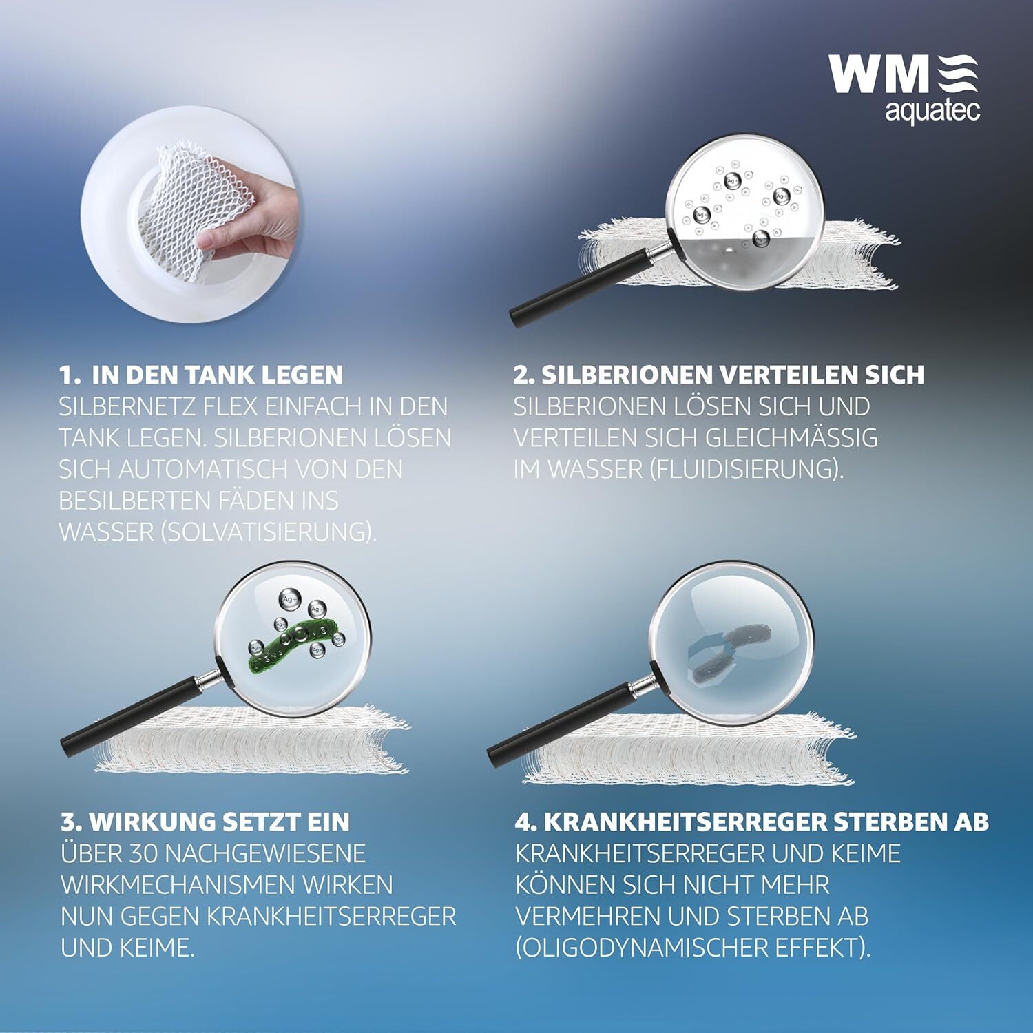 Bild 7 von 7