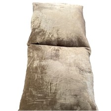 2 Aviva Stanoff Sea Fan Pillow 18x18? Square Velvet pale sea green Down Inserts