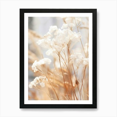 Boho Dried Flowers Gypsophila 1 Art Framed Wall Art Poster Canvas Print Picture