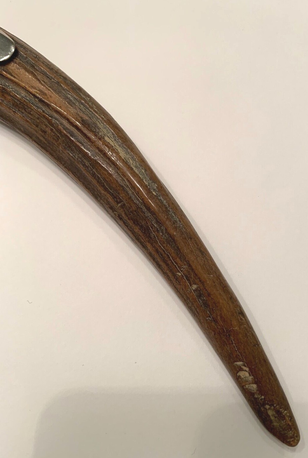 STAG HANDLE CIGAR CUTTER eBay