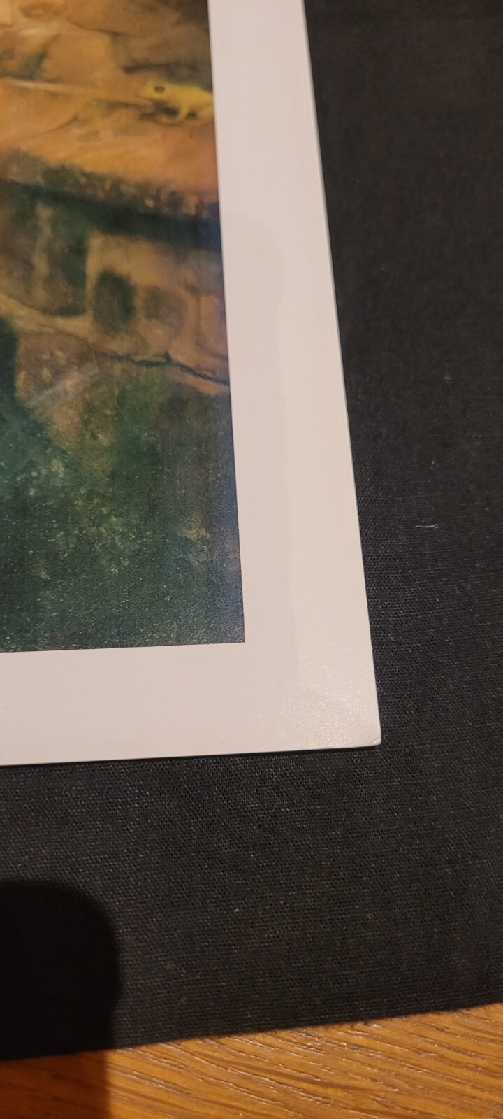Picture 15 of 24