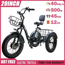 Tricycle Électrique Fat Tire 20 Pouces 500W48V12AH Neige Ebike Loisirs Grand Rangement
