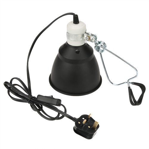 lizard light holder