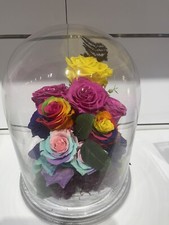 Preserved Roses In Glass Dome
