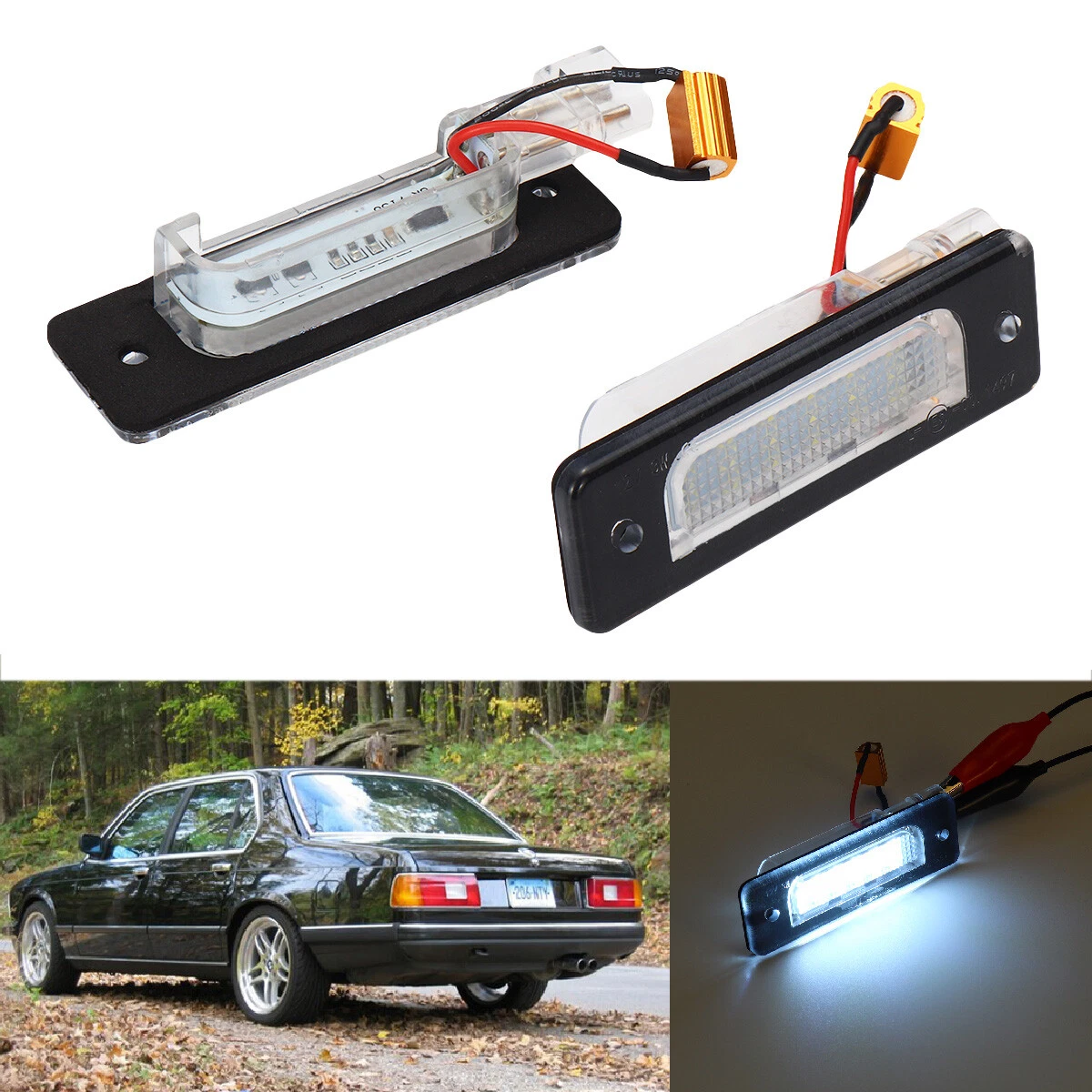 E30 license 2025 plate light