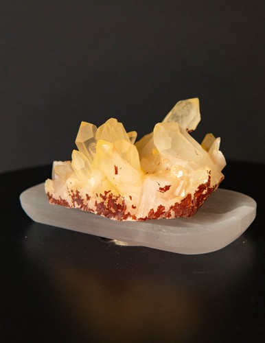Natural Golden Healer Quartz Crystal Cluster 3" Standing Specimen Iron Matrix