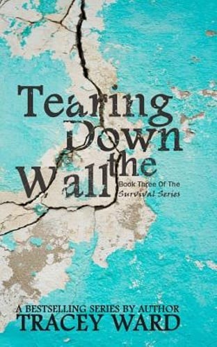 Tearing Down the Wall by Tracey Ward – New Release