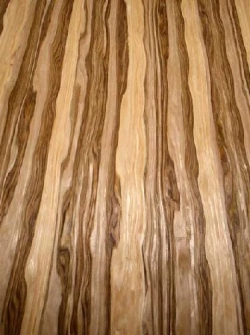 Chapa de nogal satinado ámbar SaRaiFo Red Gum 250x63 cm