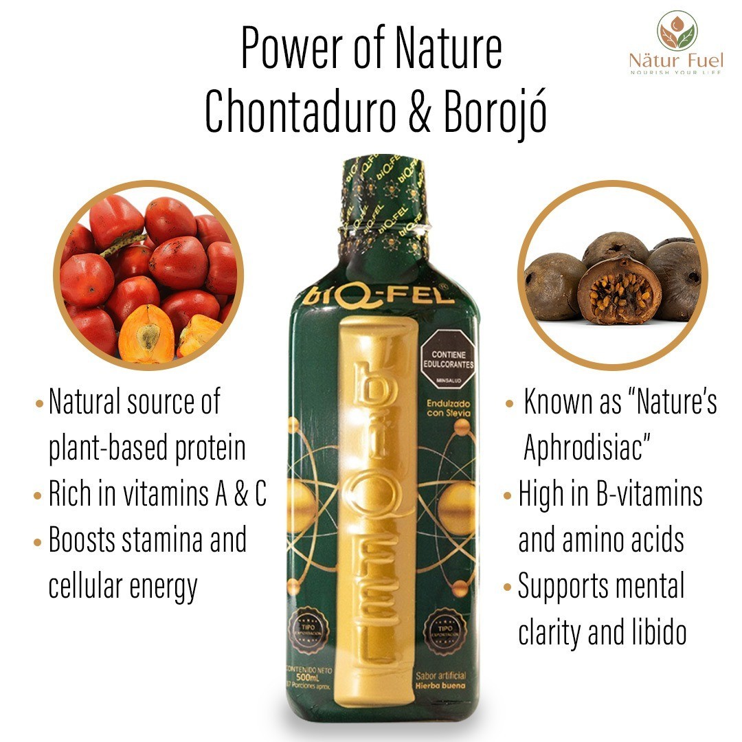 BIQ-FEL Natural Energy Booster – Biqfel, Chontaduro, Borojo & Guarana - 500ml