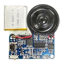 Personalized Audio Greeting Card Module for Birthdays and Celebrations
