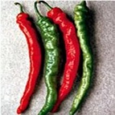 25  seeds Mesilla hot pepper garden planting spicy food