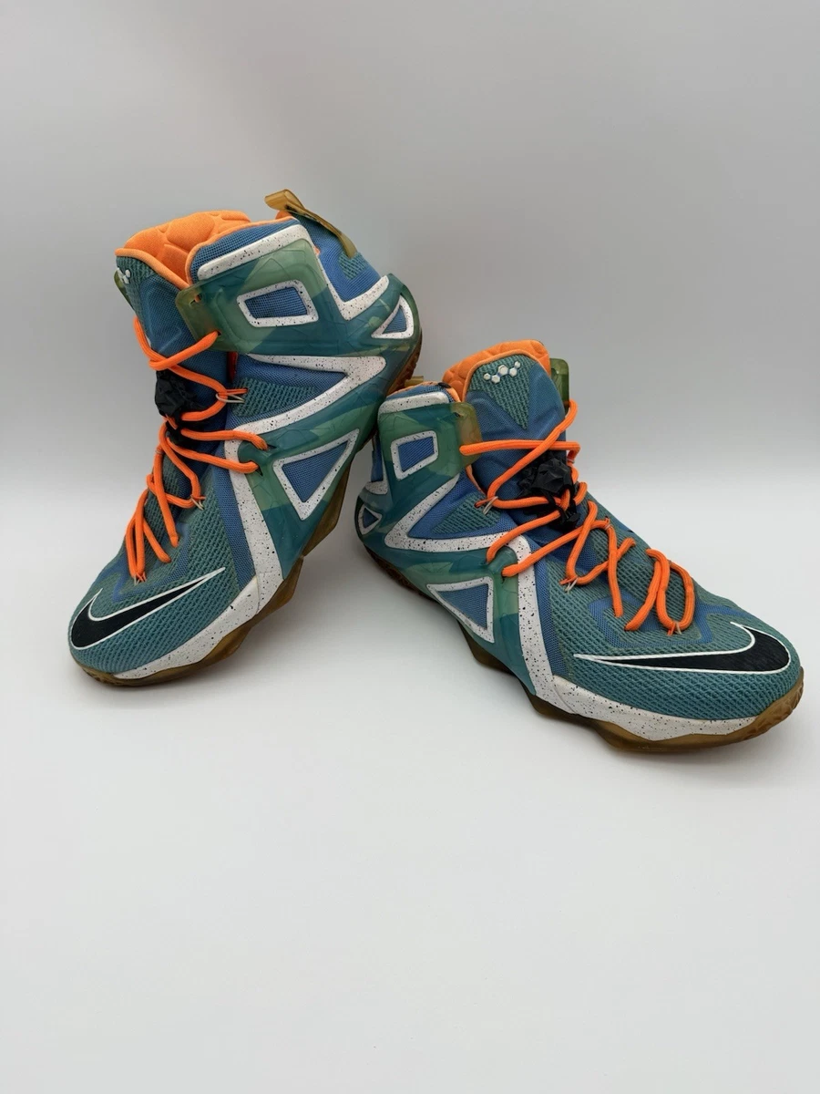 Nike LeBron 12 Elite Elevate for Sale | Authenticity Guaranteed | eBay