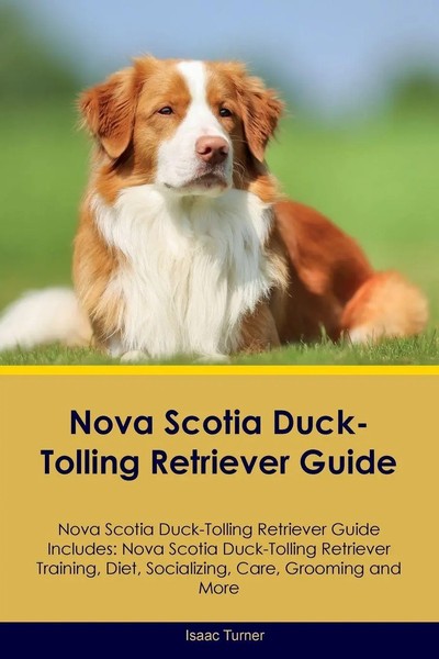 Nova Scotia Duck-Tolling Retriever Guide Nova Scotia Duck-Tolling Retriever...-image