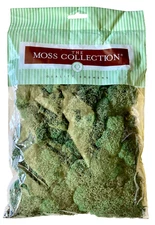 The Moss Collection Reindeer Moss Basil Sealed