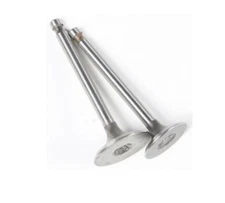 Shindy Replacement Valve Set Intake/Exhaust for Honda ATC90 ATC110 07-002