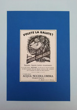 PUBBLICITA' BEVANDE FERRO CHINA BISLERI ROBUR STAMPA VINTAGE ORIGINALE 1924 A4