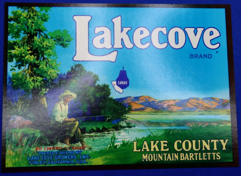 Original Vintage 1950s Lakecove Brand Pear Fruit Crate Label Finley California