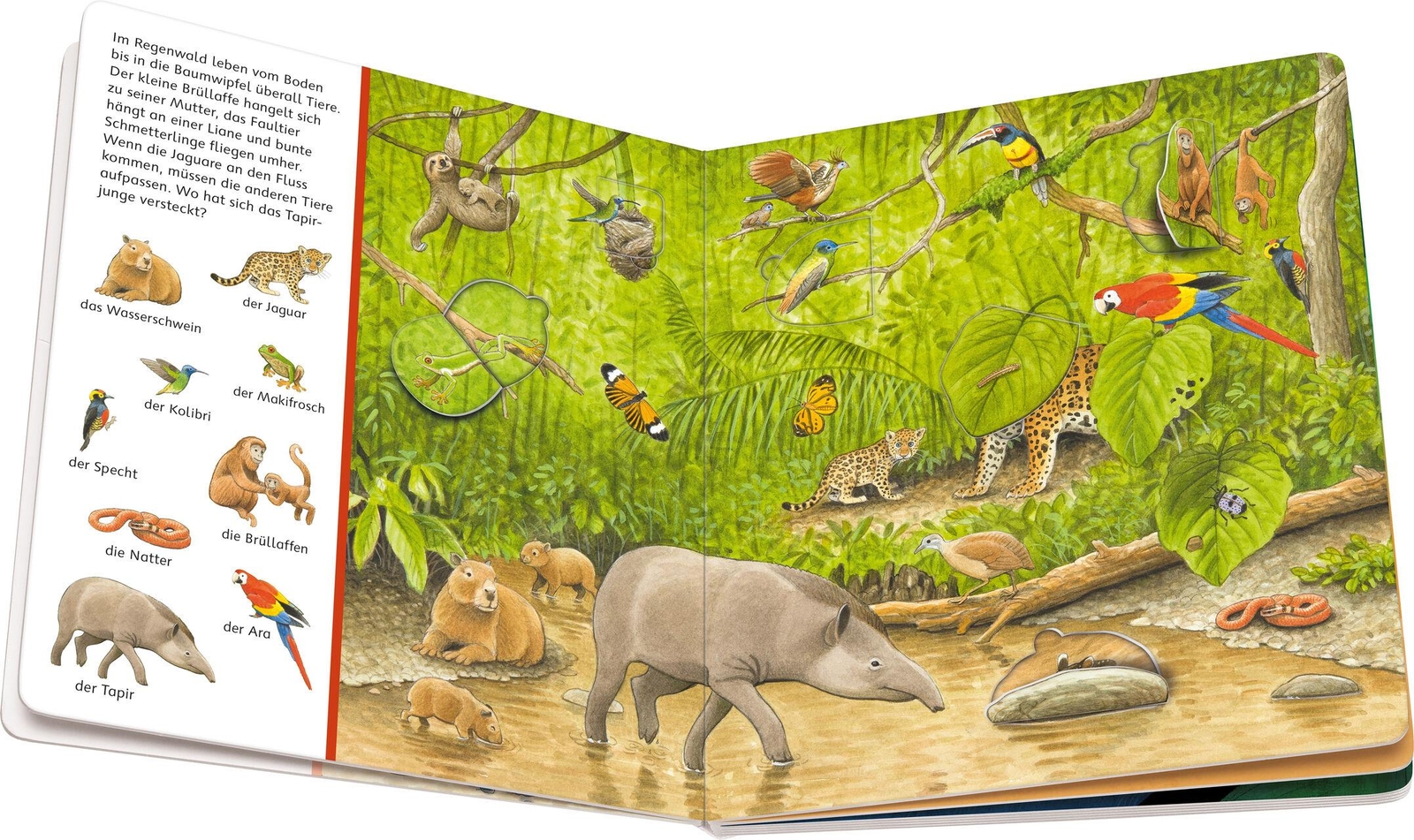 Thumbnail - Mein Sachen Suchen Wimmelbuch: Tiere Und Ihre Kinder Susanne