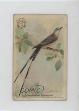 1922 Scissor-Tailed Flycatcher #29 0l4h