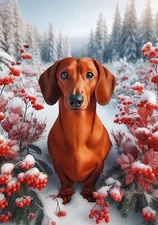 Dachshund Red SH Winter Berries Flag