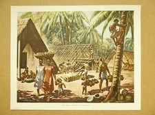 Vintage 1940s UK Macmillan History Geography Print HOMES PALMS SOUTH SEAS