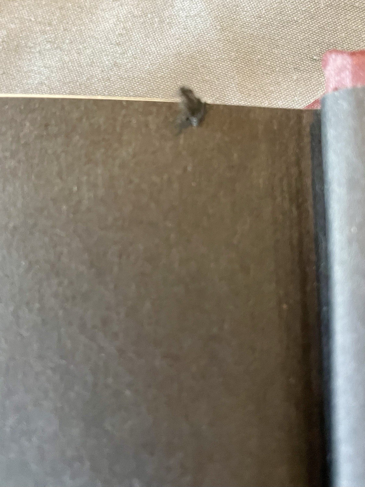 Picture 9 of 17