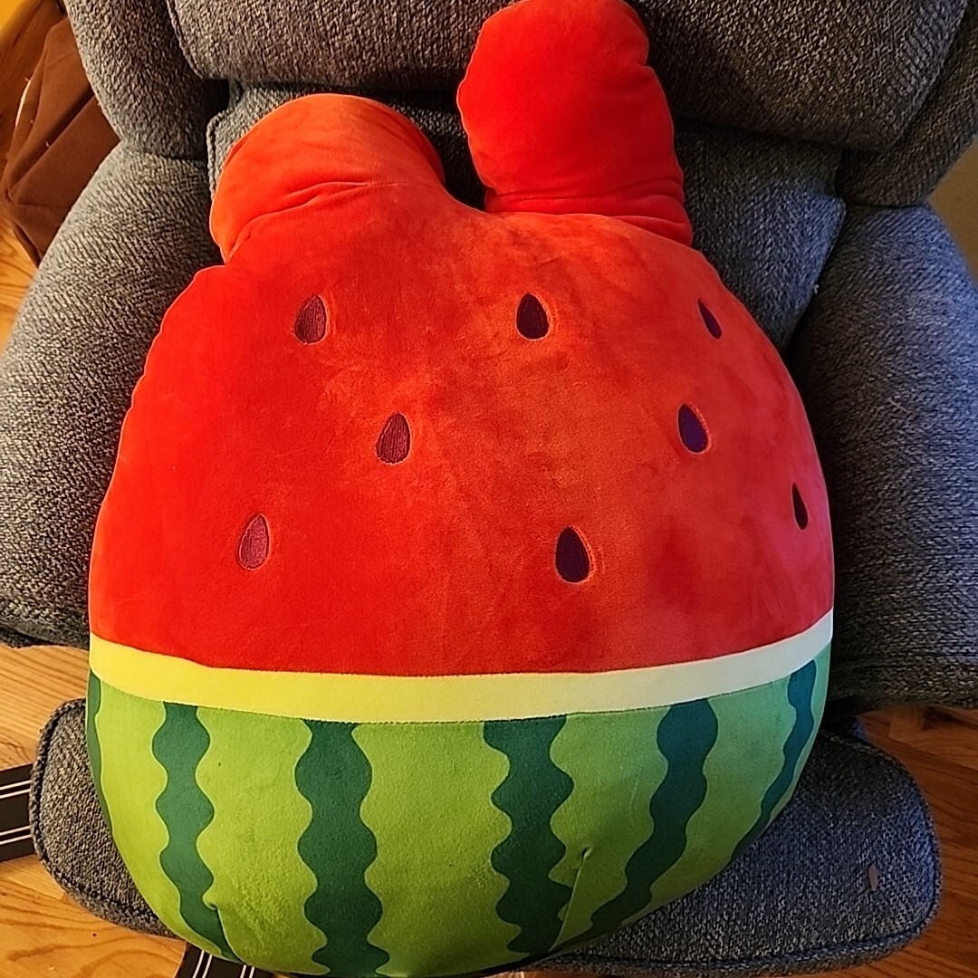 Sanrio My Melody Watermelon 26