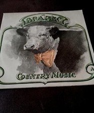 Schallplatte LP DDR Country Musical Brabec 19...