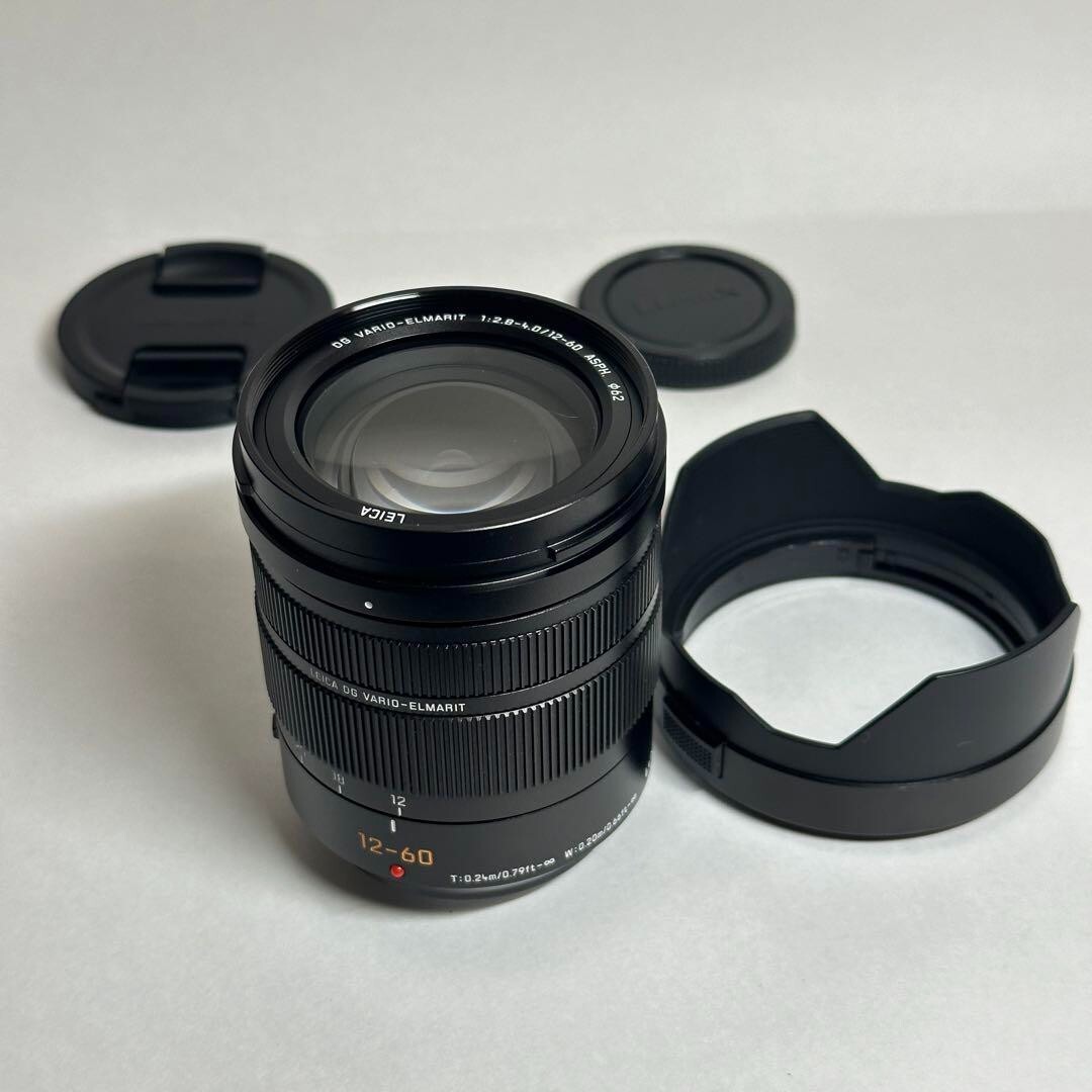 Panasonic Lumix Leica DG Vario-Elmarit 12-60mm F/2.8-4.0 Panasonic Lumix Leica DG Vario-Elmarit 12-60mm F/2.8-4.0