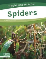 Spiders | Martha London | Englisch | Buch | Gebunden | 2020 | EAN 9781644933565