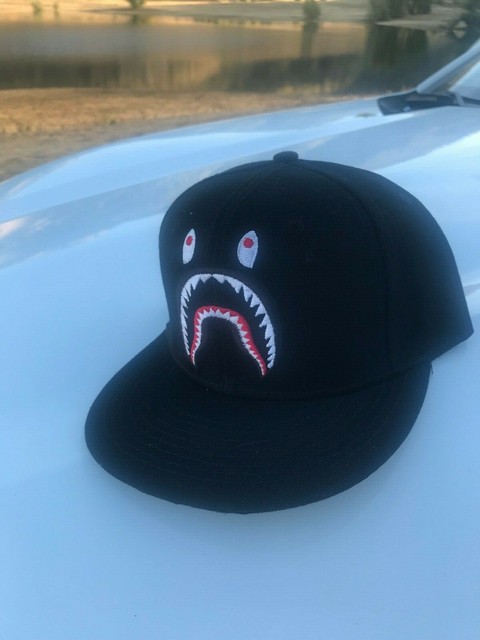 shark hat ebay