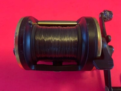 DAIWA SEALINE SL30SH SUPER HIGH SPEED CONVENTIONAL FISHING REEL | eBay