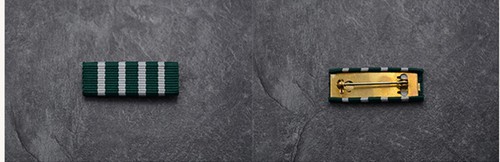 Top Quality the European French Legion of Arts And Letters Officer leveL Badge - Picture 3 of 6