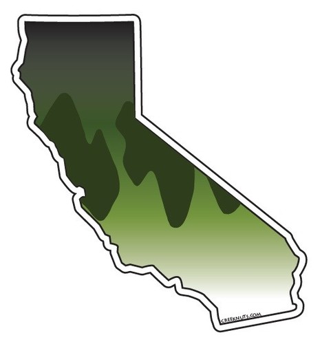 LARGEMOUTH BASS STATE stickers decals fishing MANY STATES fly fishing   - Picture 20 of 68