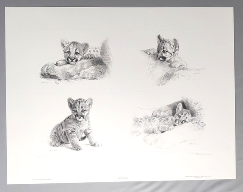 Carl Brenders Limited Ed. S/N Lithograph “Rocky Camp Cubs” Pencil Sketch w/COA