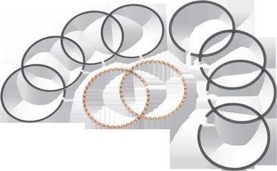 S and S Cycle 94-2201X Ring Set 3-7/16'' +.01