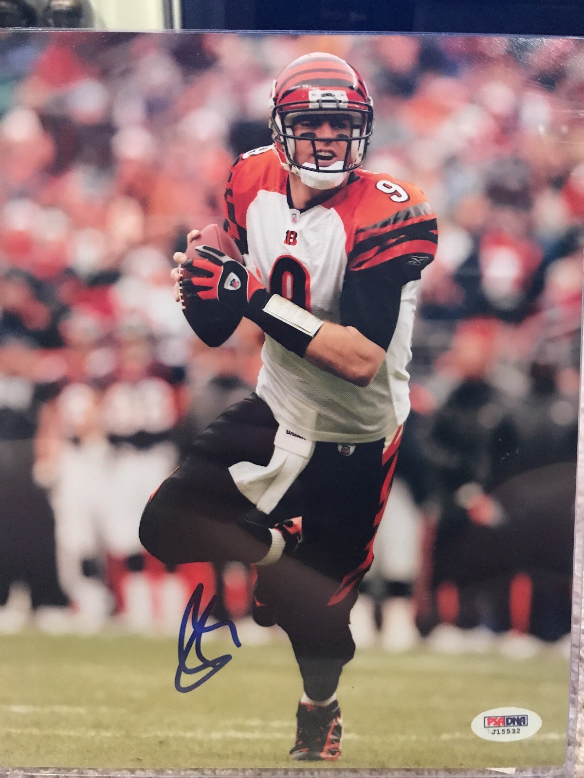 Carson Palmer Autographed Signed Cincinnati Bengals 8x10 Photo PSA 