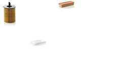 Inspektionspaket Filtersatz L MANN-FILTER Partikelfilter Filtereinsatz für 307 1