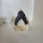 Picture 5 of 5