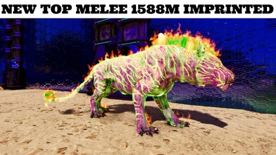  ARK Survival Ascended PvE PC/XBOX/PS5 NEW Top Melee Pyromane (lion) 1585m  