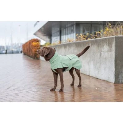 Trixie Regenmantel City Style Dublin Regenmantel Hund Geschirr/Halsband