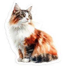 Fluffy Calico Cat - Vinyl Decal Sticker - Car Window Laptop - 13