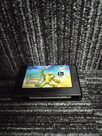 MSX2 Software Model Ashgine Castle of the Void PANASOFT