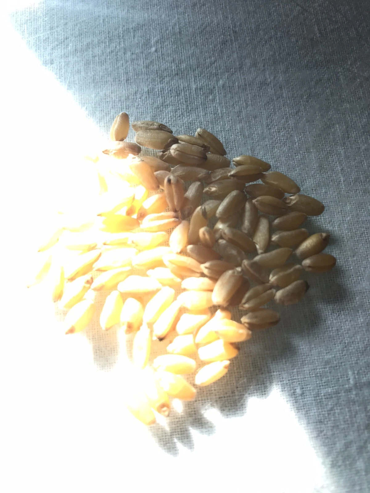 Picture 6 of 7