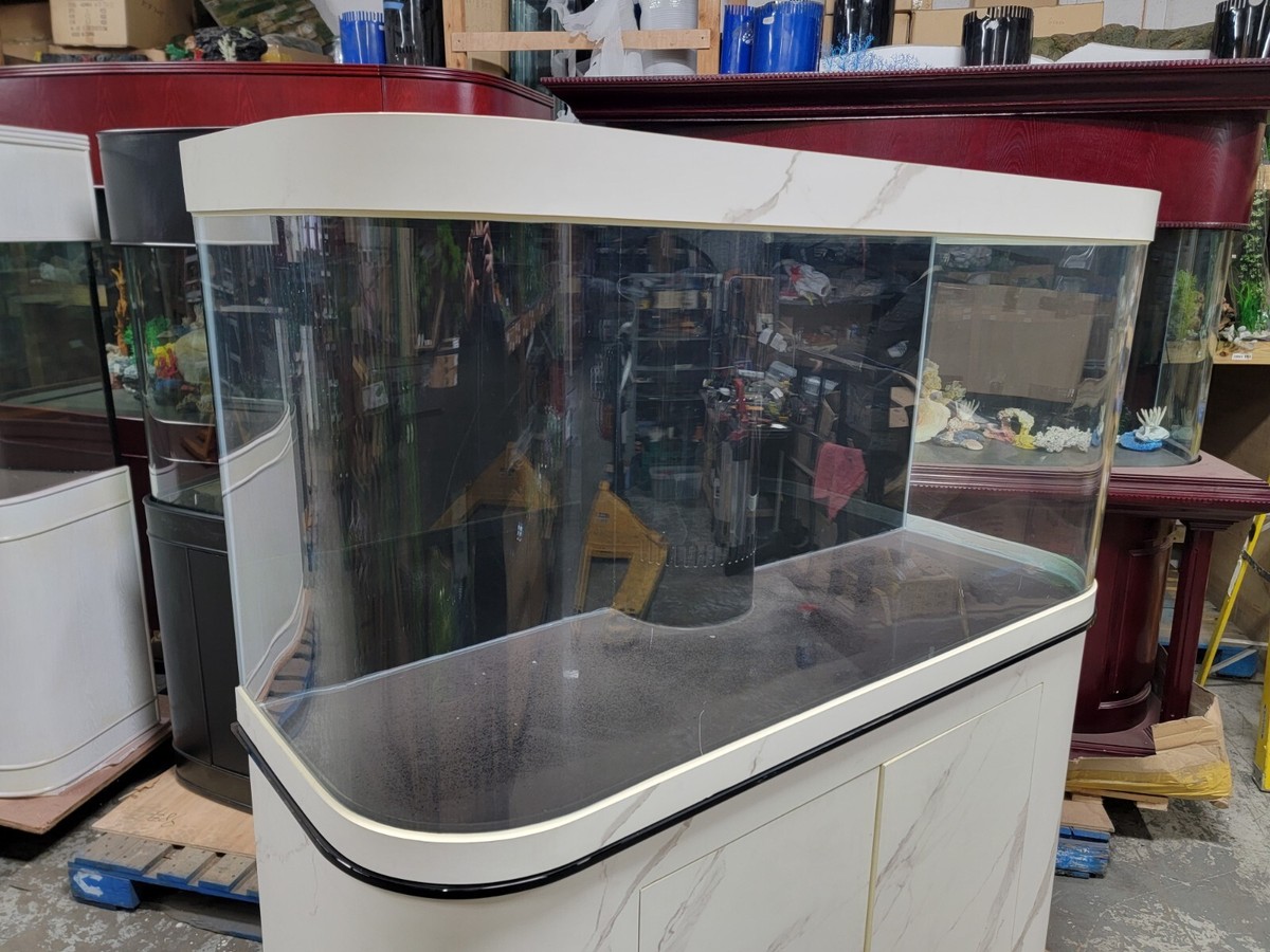 Empty Giant Fish Tank