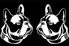 French Bulldog Two White Vinyl Decals Car Truck Mailbox Tumblers Tablet Laptop