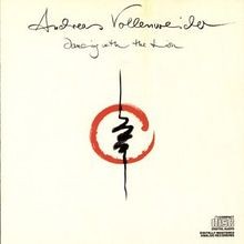 Dancing With The Lion  US von Andreas Vollenweider | CD | Zustand gut